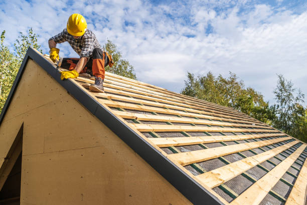 Best Metal Roofing Contractor  in Sweet Springs, MO
